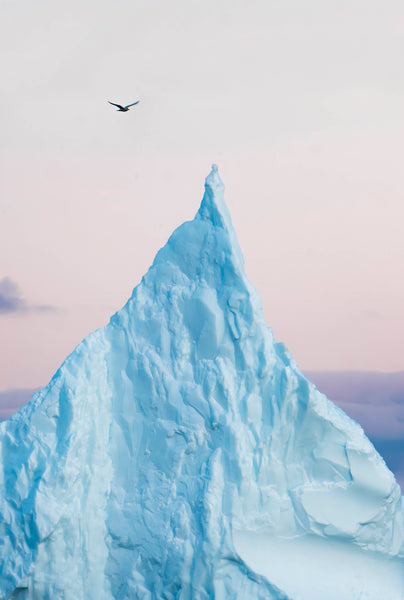 Grönland - Postkarten-Set